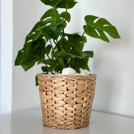 Li Mango 3* Тигаки