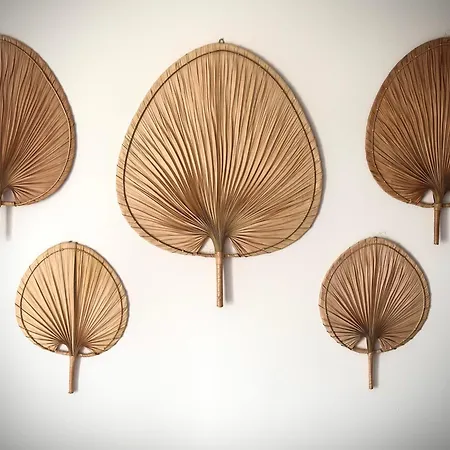 Li Mango 3* Тигаки